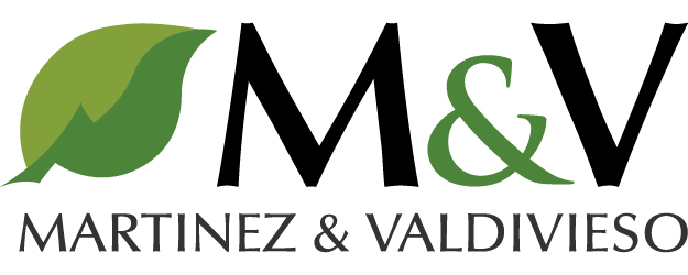 M&V